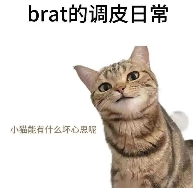 西檬之家-brat属性：字母圈里的小捣蛋鬼是啥？