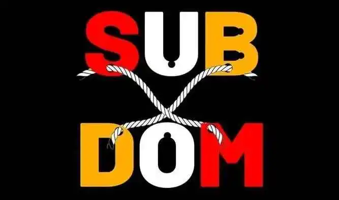 【西檬之家】字母圈DOM是什么意思？