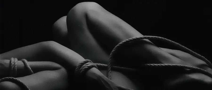 Dom - 2025-11-13 234426