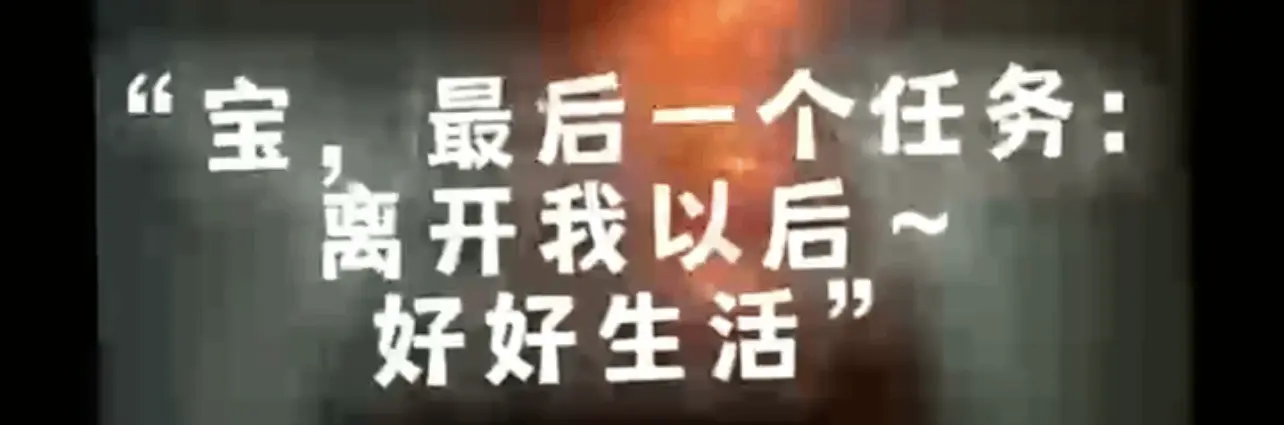 西檬之家-k9是什么？