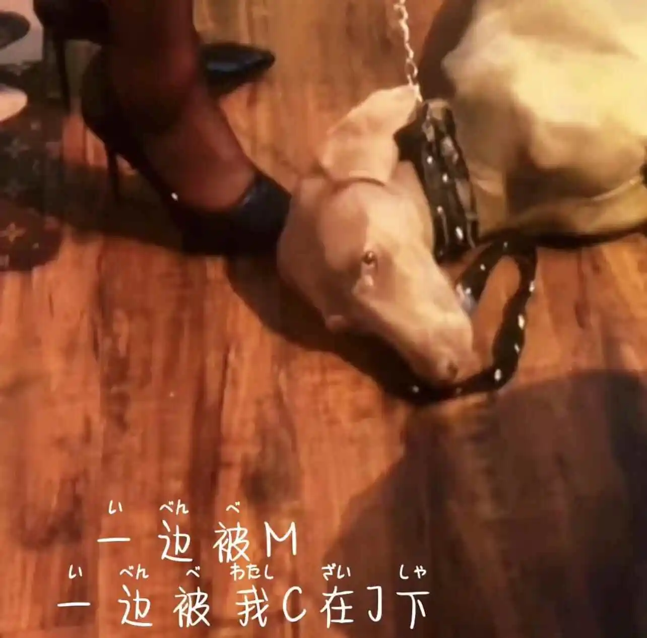 西檬之家-字母圈的践踏癖是什么？新人入门指南
