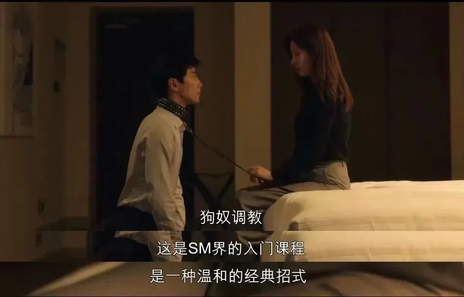 西檬之家-k8猫系：字母圈宠物扮演的新手指南