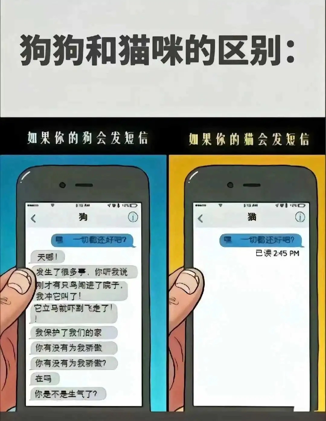 西檬之家-BDSM核心术语解析