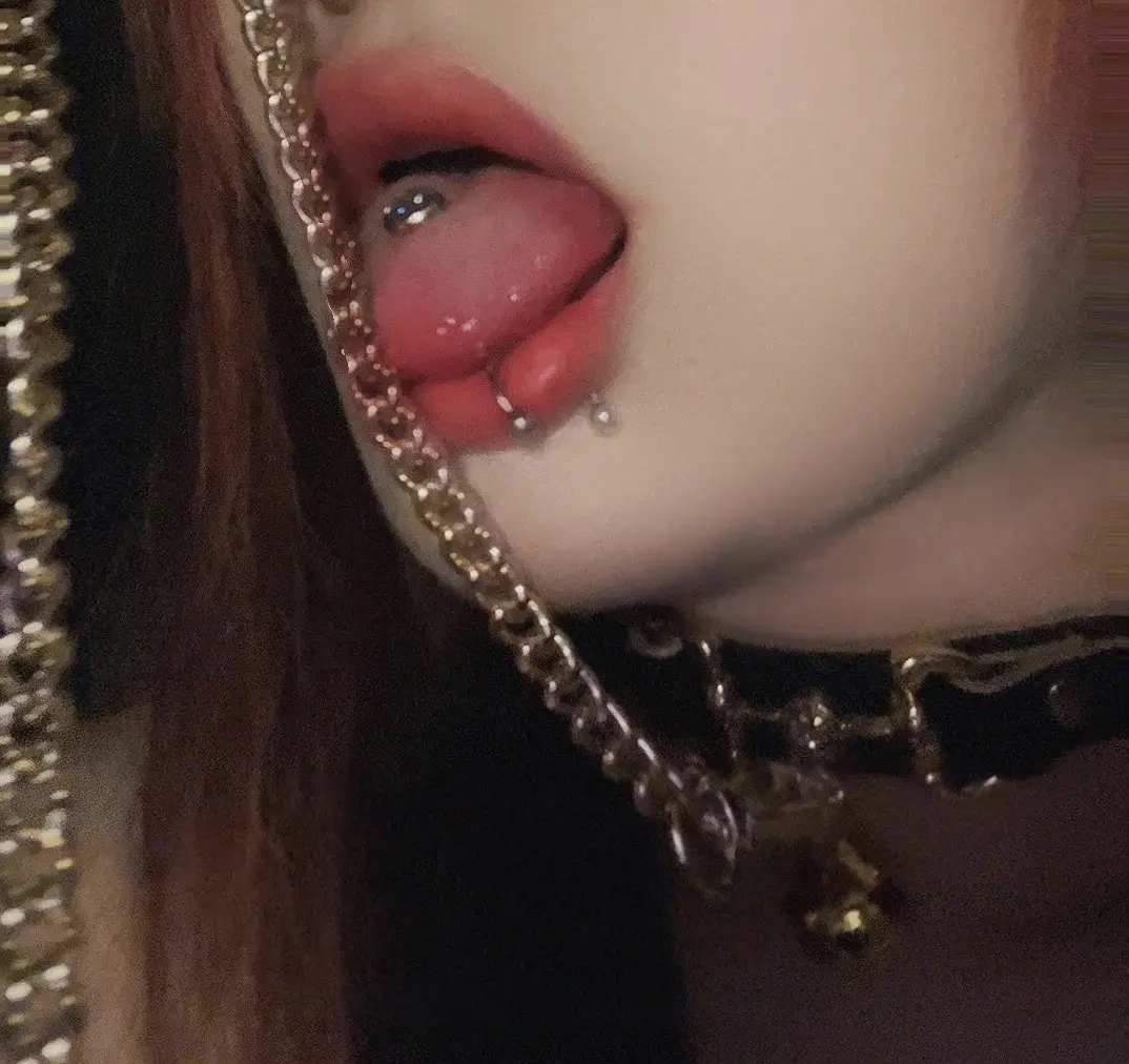 西檬之家-K9犬系解析：BDSM角色属性与入门指南