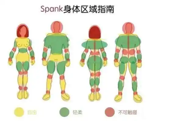 【西檬之家】字母圈新人入圈指南：从术语到SSC原则