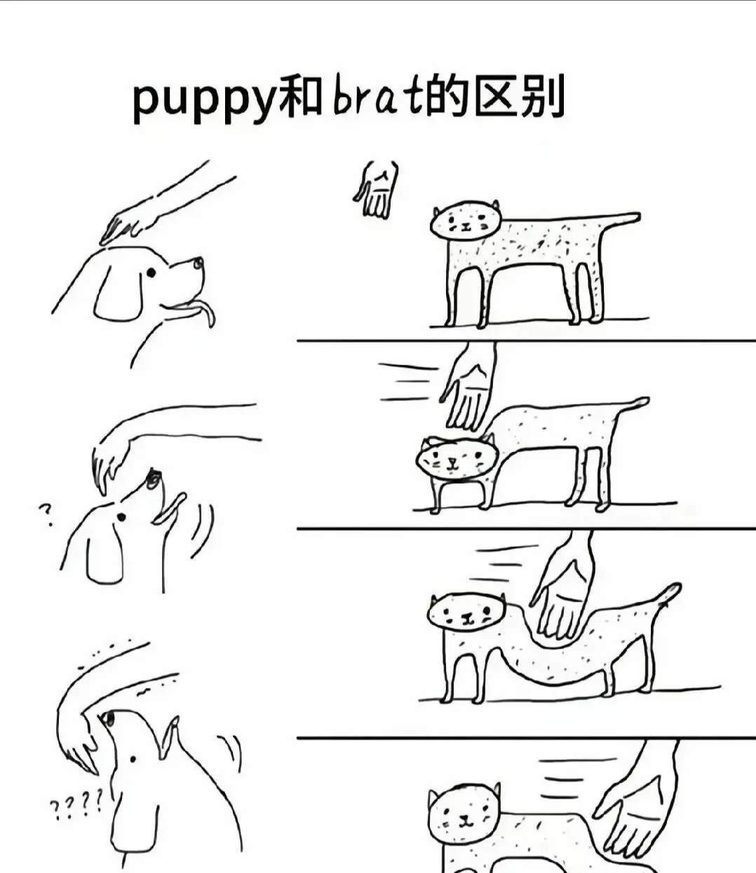 【西檬之家】字母圈的践踏癖是什么？