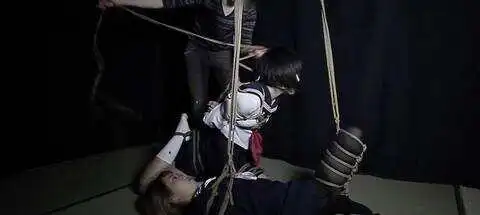 【西檬之家】字母圈新人入圈指南：从BDSM基础到亚文化探索
